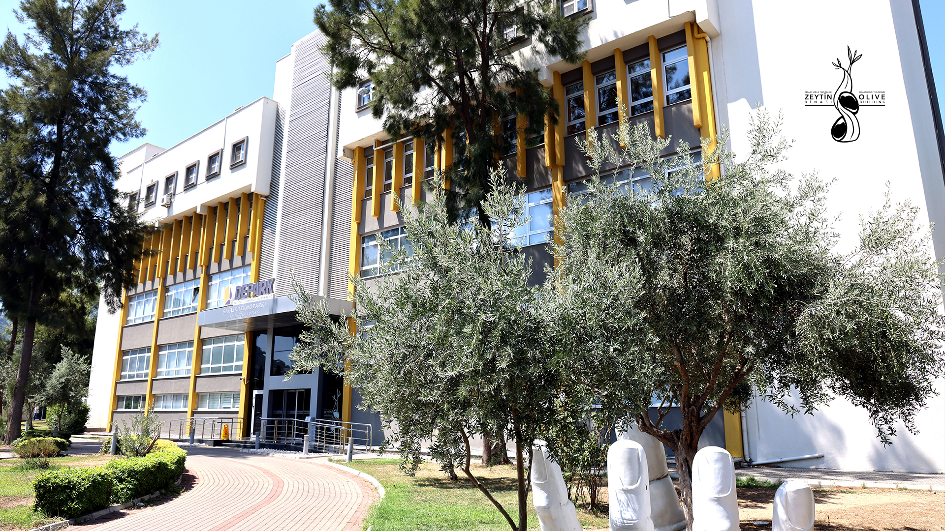 Zeytin Binası