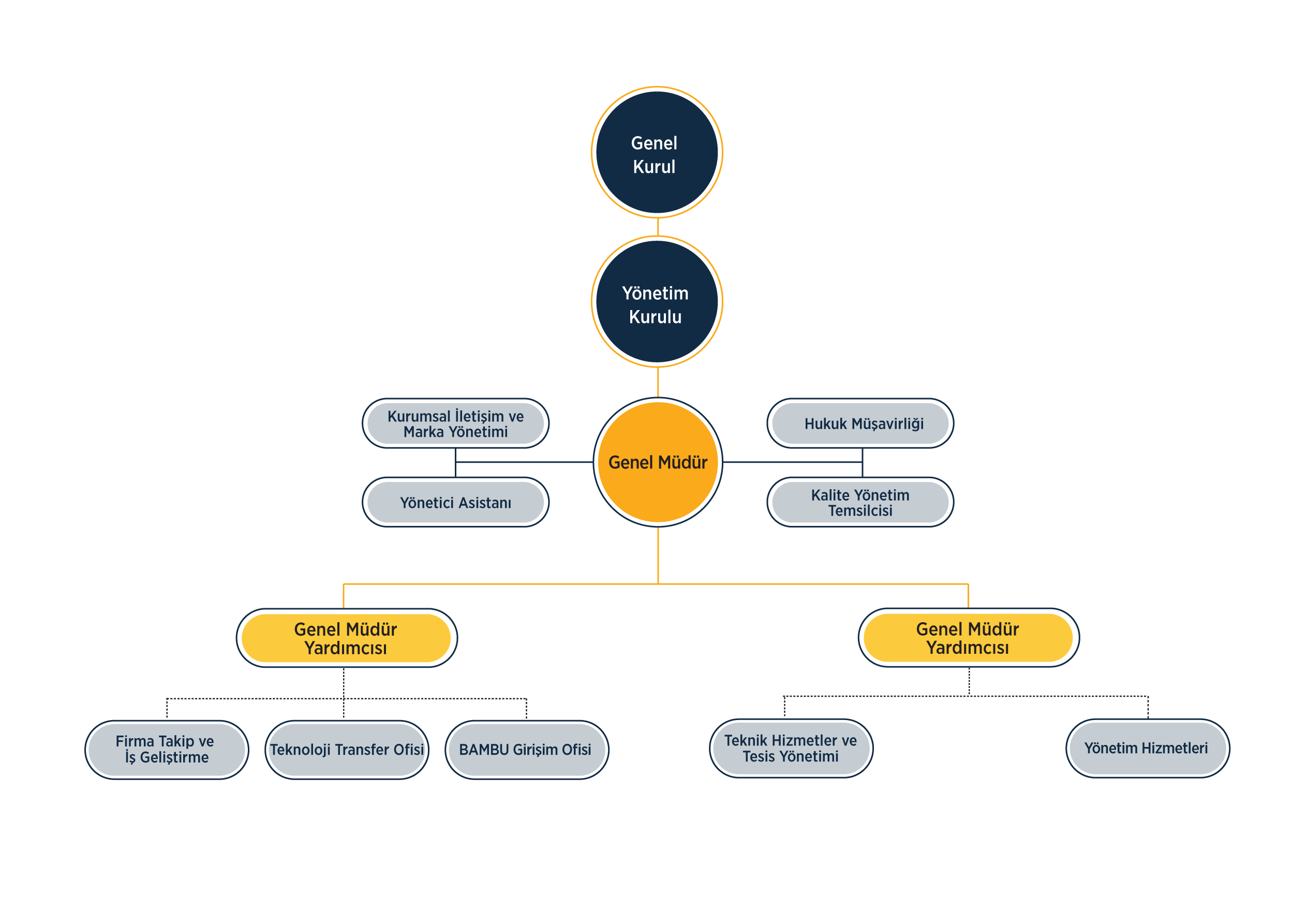 Organizasyon Şeması