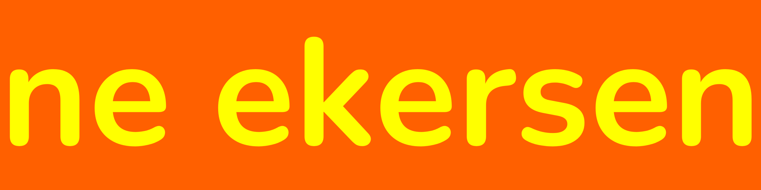 Ne Ekersen Bilişim